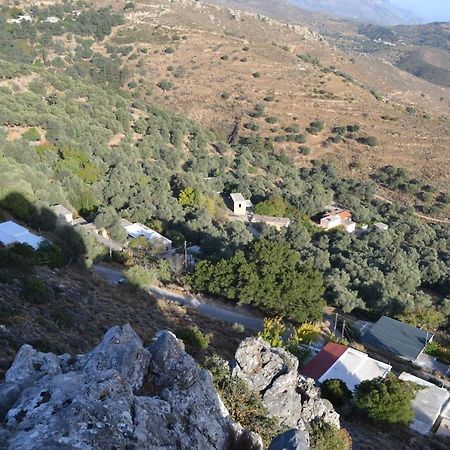 Garden Of Olive Trees Villa Asfendiles Eksteriør billede