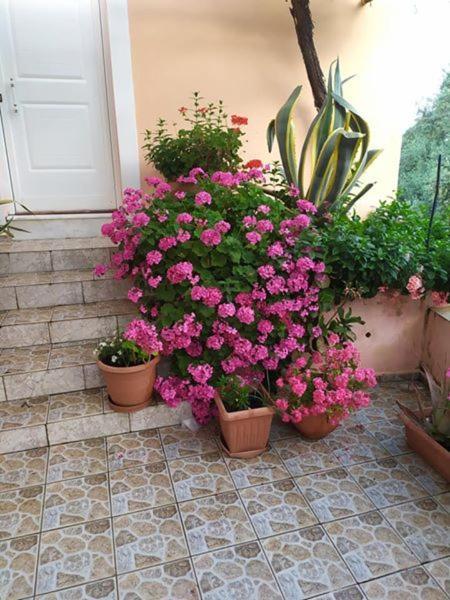 Garden Of Olive Trees Villa Asfendiles Eksteriør billede